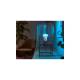 Producto de Pack 2 Bombillas Inteligentes LED E27 6.5W 570 lm A60 PHILIPS Hue White