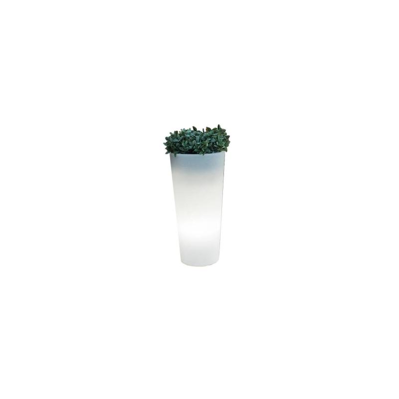 Produto de Vaso Ficus 60 Cabo Exterior Frio