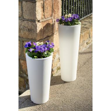 Produto de Vaso Ficus 60 Cabo Exterior Frio