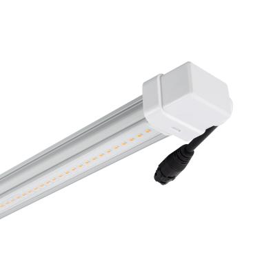 Tubo LED T8 G13 60 cm de Cultivo Batten Grow 10W