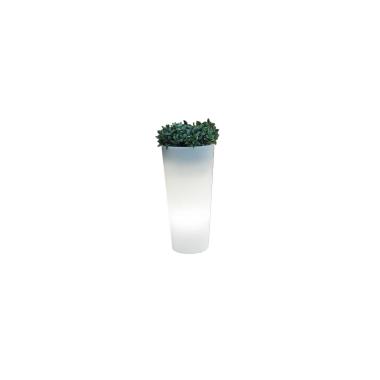 Vaso Ficus 60 Cabo Exterior Frio