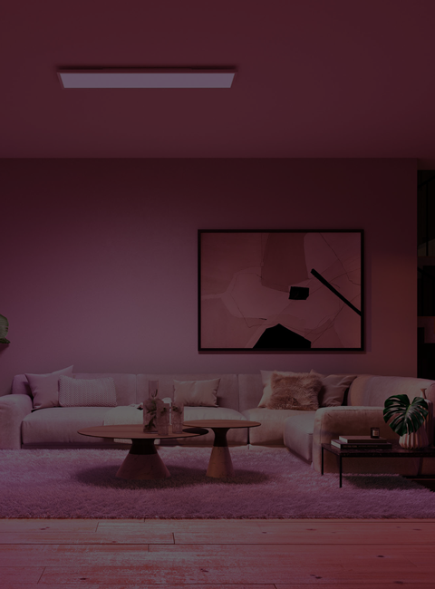 PHILIPS Hue